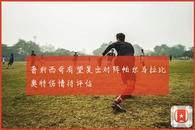 普利西奇有望复出对阵帕尔马拉比奥特伤情待评估