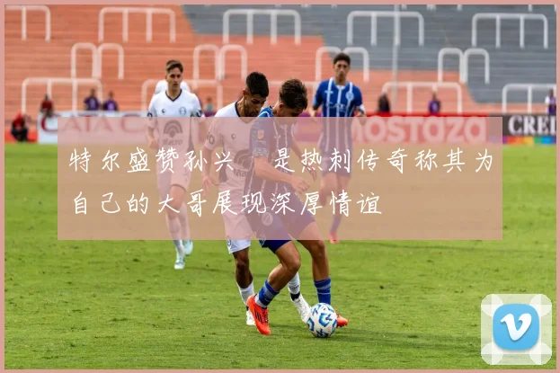 特尔盛赞孙兴慜是热刺传奇称其为自己的大哥展现深厚情谊