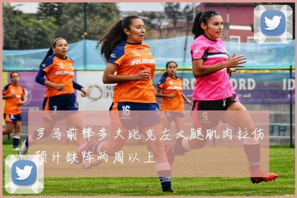 罗马前锋多夫比克左大腿肌肉拉伤预计缺阵两周以上