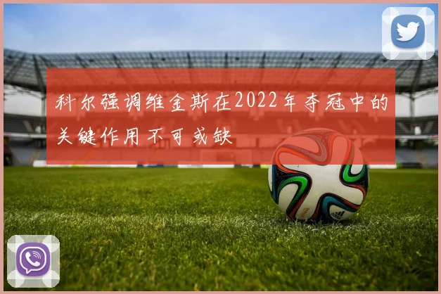 科尔强调维金斯在2022年夺冠中的关键作用不可或缺